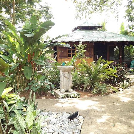 Las Brisas Del Sur オホチャル エクステリア 写真