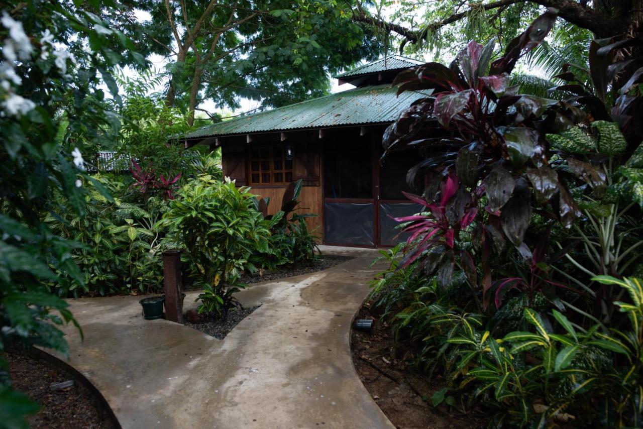 Las Brisas Del Sur オホチャル エクステリア 写真