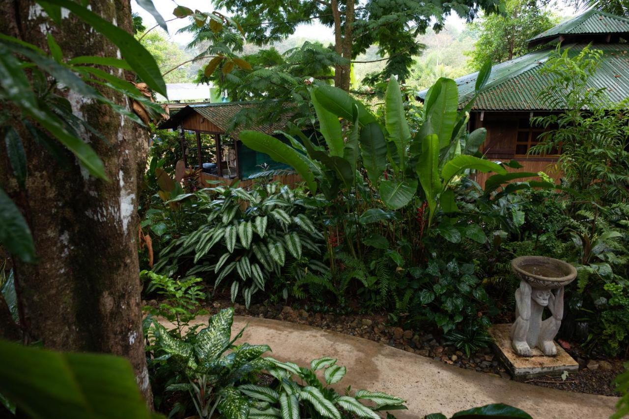 Las Brisas Del Sur オホチャル エクステリア 写真