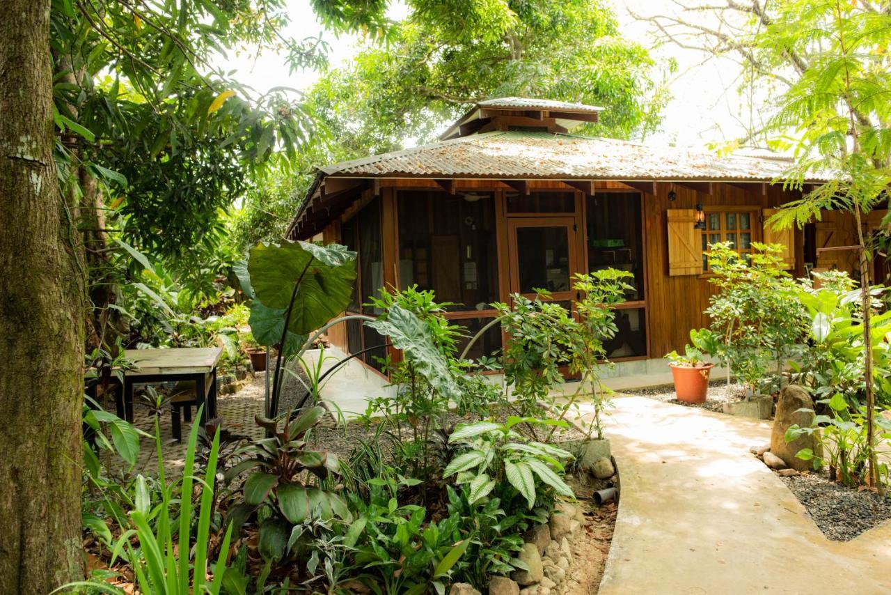 Las Brisas Del Sur オホチャル エクステリア 写真