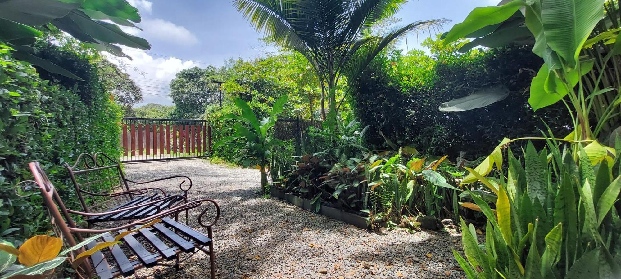 Las Brisas Del Sur オホチャル エクステリア 写真