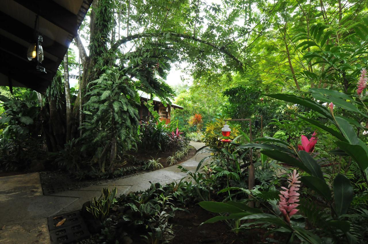 Las Brisas Del Sur オホチャル エクステリア 写真