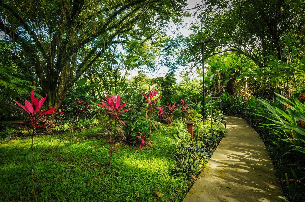 Las Brisas Del Sur オホチャル エクステリア 写真